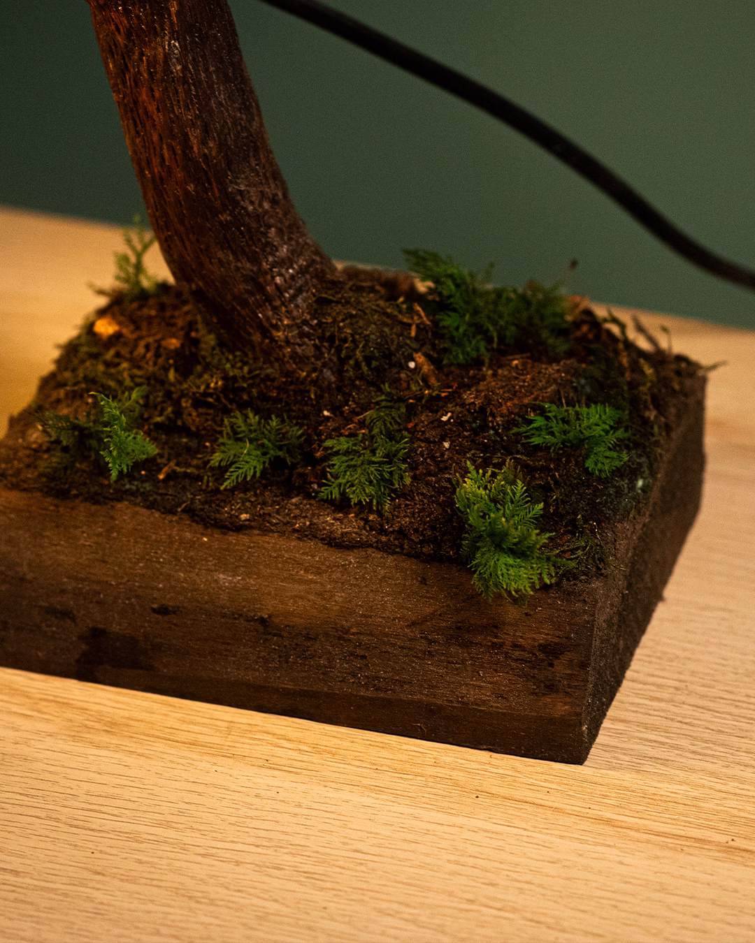 CORTEX V01: DEEP FOREST - Imagen 3